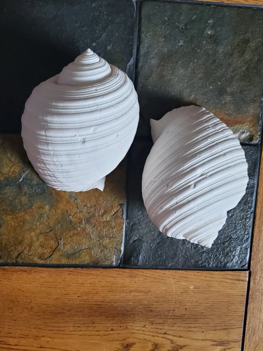 2 White Faux Conch Seashells Beach Decor - Picture 1 of 10